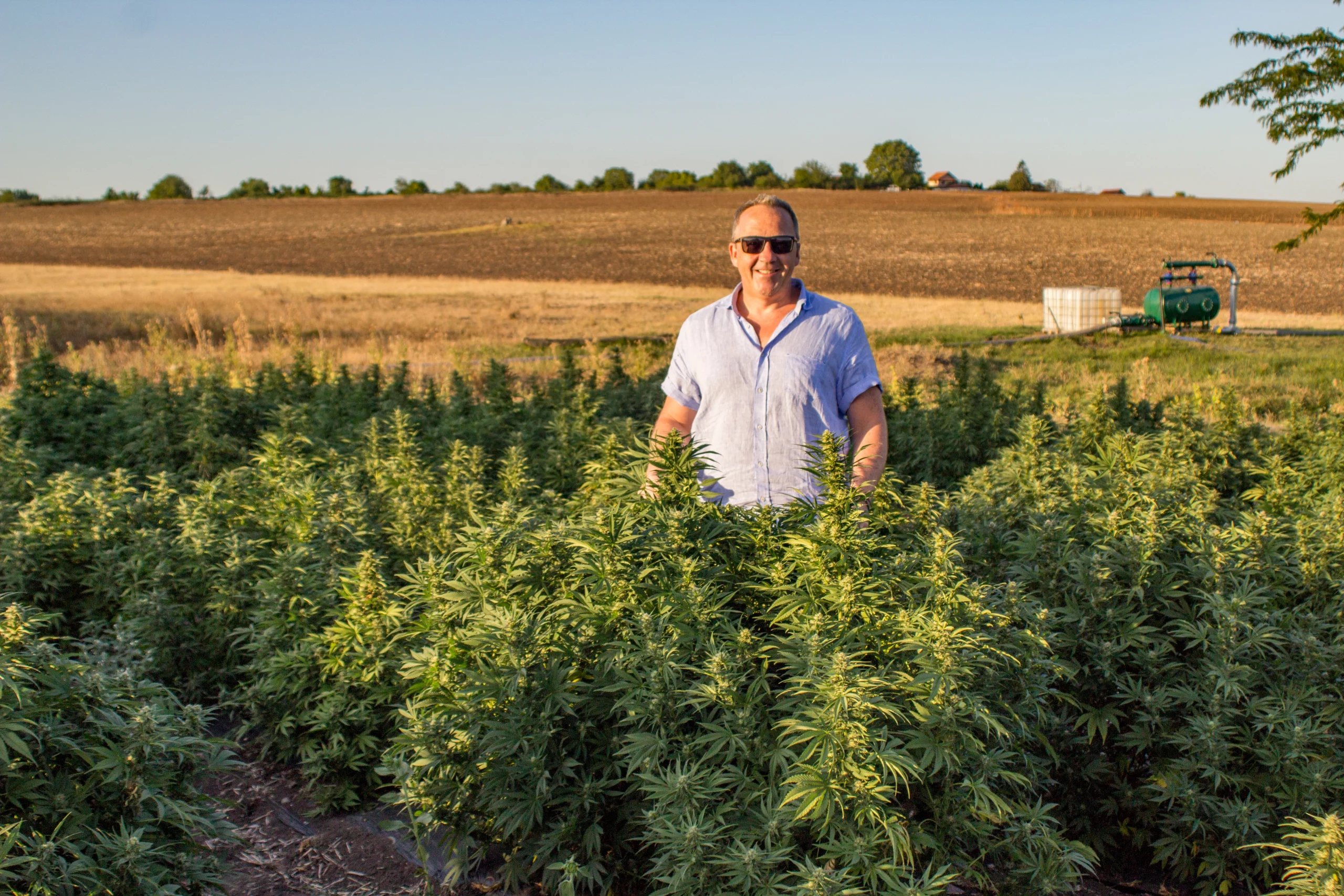 phil in hemp farm